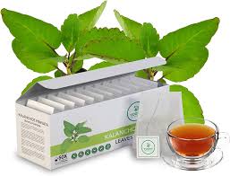 Té Orgánico Kalanchoe Pinnata - 50 Bolsas