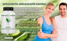 Extracto Puro de Té Verde 1000mg - Adelgazante 100% VRN