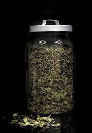 Té Verde Gunpowder a Granel - Sabor Intenso