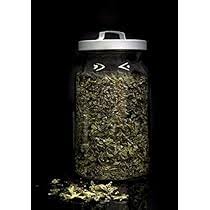 Té Verde Gunpowder a Granel - 1000g Aromático y Refrescante