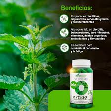Ortiga Verde Soria Natural: Diurética y Depurativa