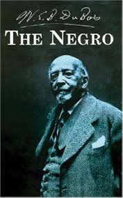 El Negro: Elegancia y Estilo