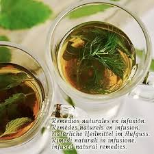 Infusiones de Eucalipto a Granel - Remedio Natural