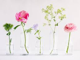 Flores Sanadoras para la Salud Mental