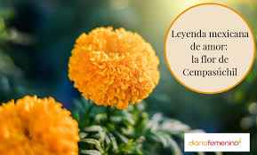 El Amor Eterno: La Leyenda de la Flor de Cempasúchil