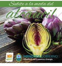 Alcaucil: Un Año de Delicias
