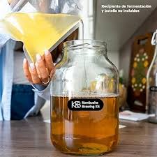 Iniciador SCOBY Kombucha Ecológica de Té Orgánico